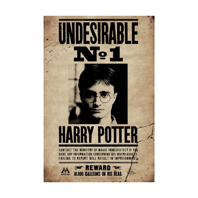 poster harry potter indésirable