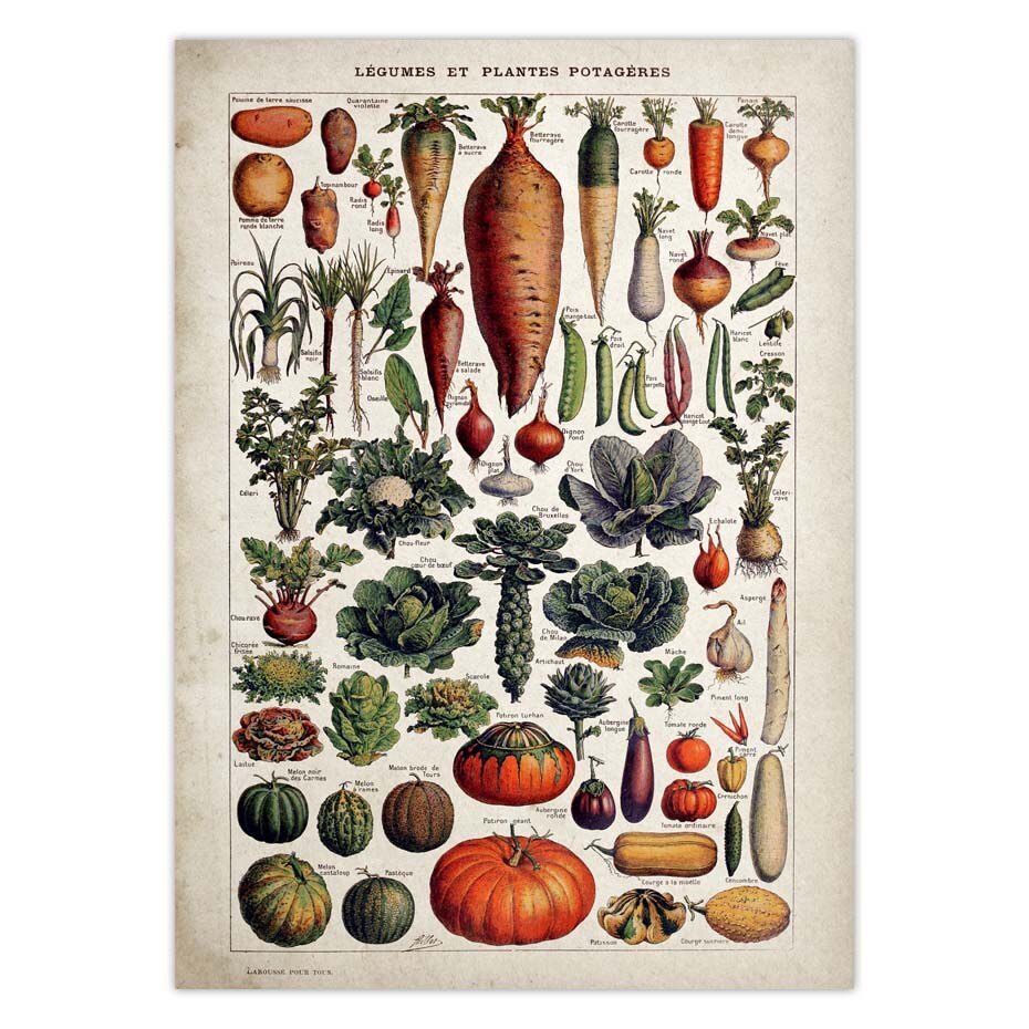 Poster Cuisine Légumes