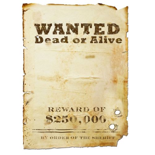 Poster wanted vierge