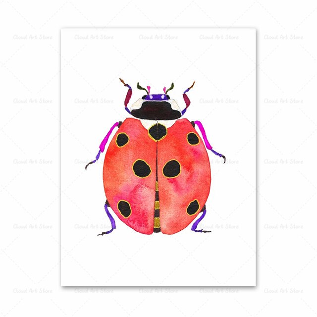 Poster Nature Insecte Rouge