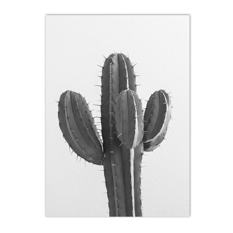 poster Noir et Blanc Chambre Cactus